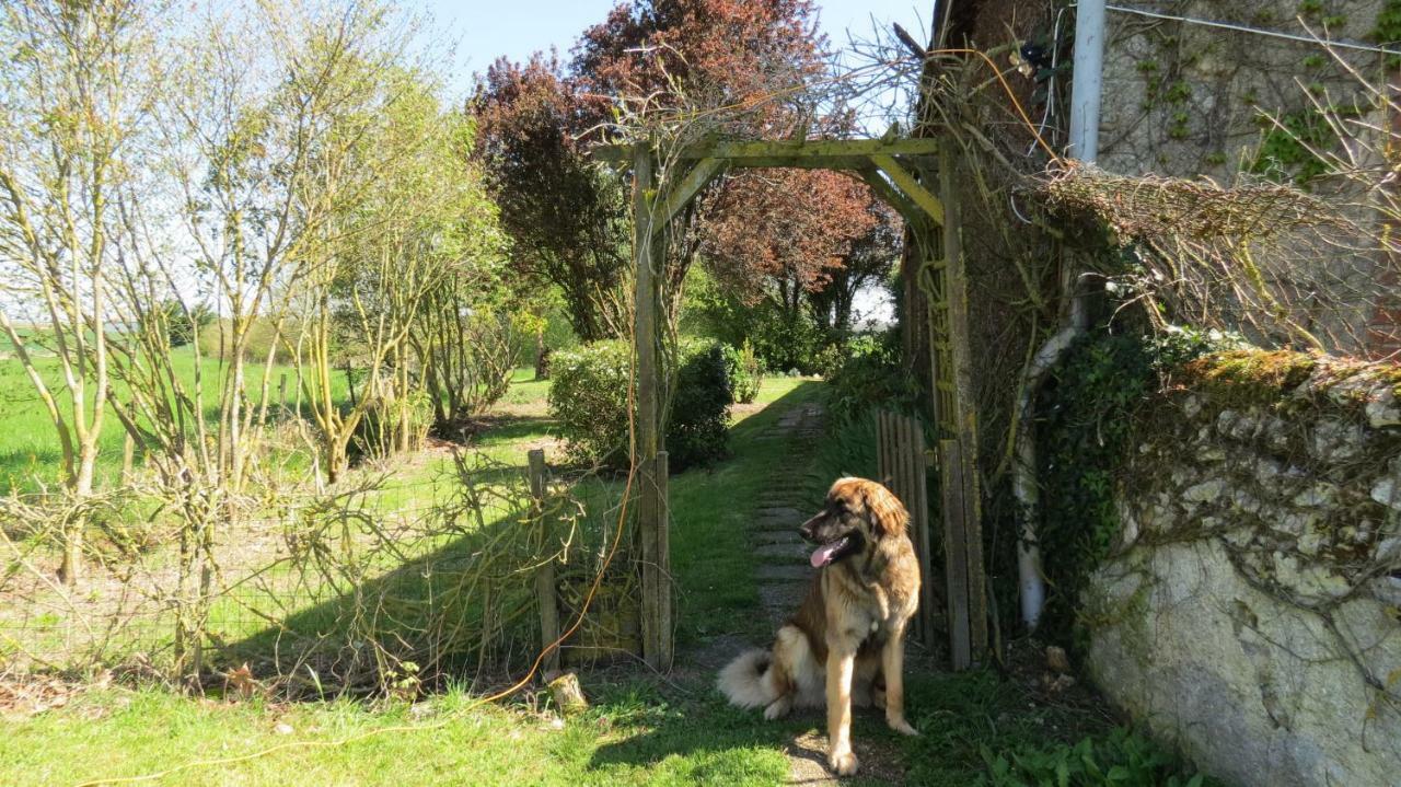 La Fosse Seche Bed & Breakfast Dolus-le-Sec ภายนอก รูปภาพ